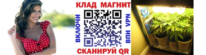 Купить наркотик аптеки Порхов Каннабис COCAIN Псилоцибиновые грибы МДМА Амфетамин Меф мяу мяу