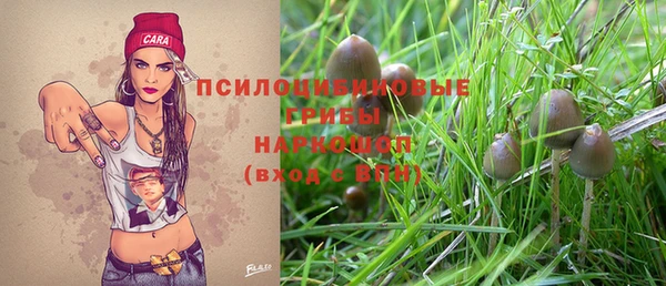 МДПВ Алексеевка