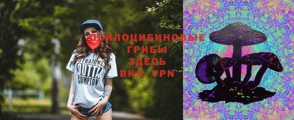 МДПВ Алексеевка